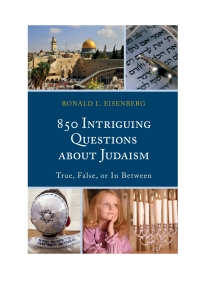 Omslagafbeelding: 850 Intriguing Questions about Judaism 9781442239463