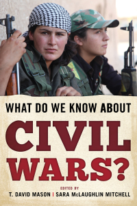 صورة الغلاف: What Do We Know about Civil Wars? 9781442242258