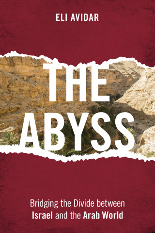 Imagen de portada: The Abyss 1st edition 9781442245471