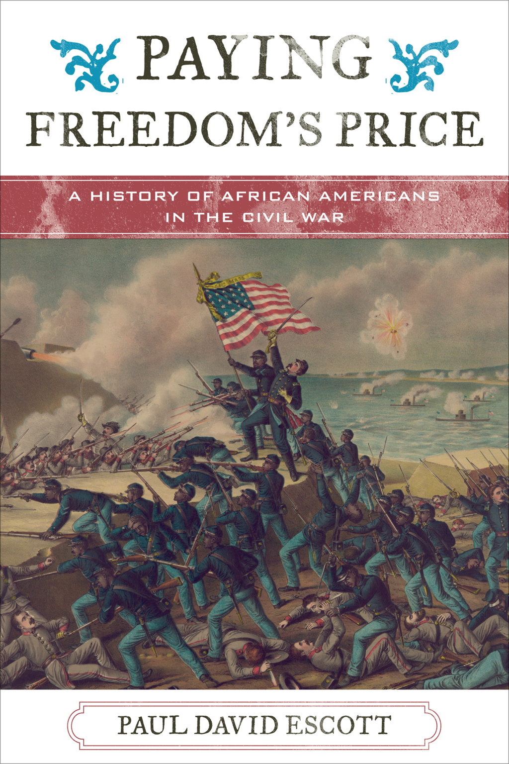 Paying Freedom’s Price A History of African Americans in the Civil War