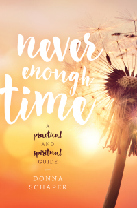 Cover image: Never Enough Time 9781442266384