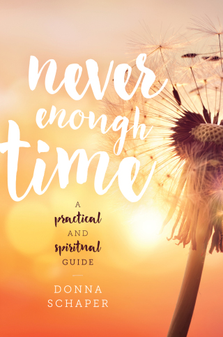 Cover image: Never Enough Time 9781442266384