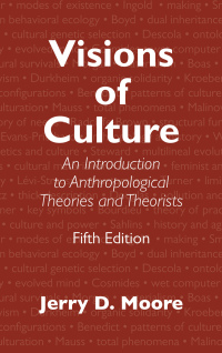 Cover image: Visions of Culture 5th edition 9781442266643