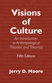 Immagine di copertina: Visions of Culture 5th edition 9781442266643