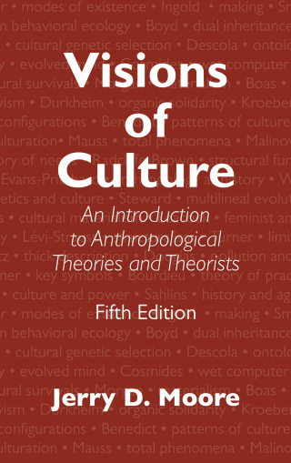 Cover image: Visions of Culture 5th edition 9781442266650