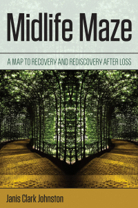 Cover image: Midlife Maze 9781538126059