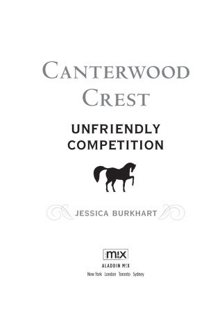 Cover image: Unfriendly Competition 9781442403864