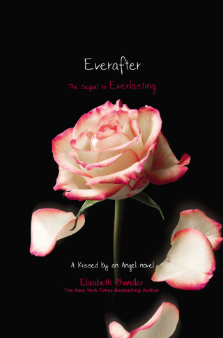 Cover image: Everafter 9781442409194