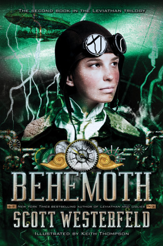 Cover image: Behemoth 9781416971764