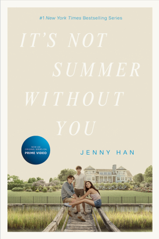 Cover image: It's Not Summer Without You 9781665937993