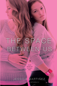 Cover image: The Space Between Us 9781442420564