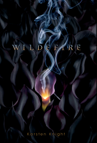 Cover image: Wildefire 9781442421189
