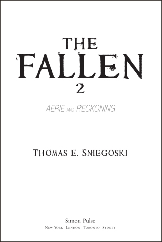 Cover image: The Fallen 2 9781442408630