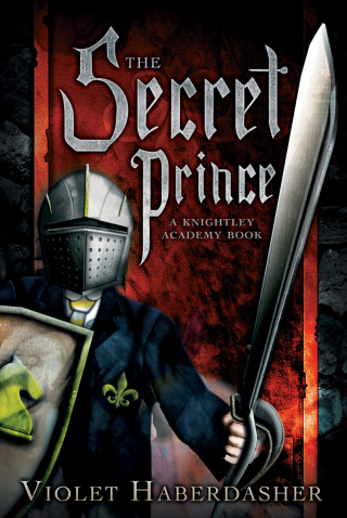 Cover image: The Secret Prince 9781416991465