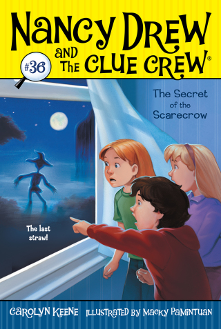 Cover image: The Secret of the Scarecrow 9781442453531