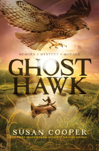 Cover image: Ghost Hawk 9781442481428