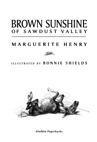 Cover image: Brown Sunshine of Sawdust Valley 9780689807794