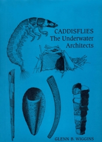 Cover image: Caddisflies 1st edition 9781442655058