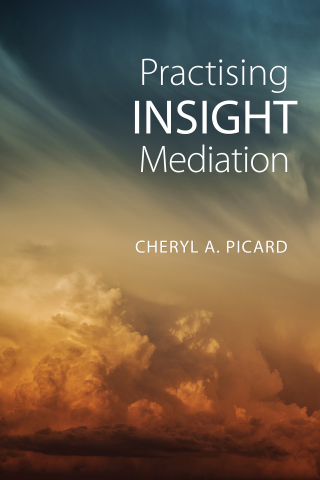 Cover image: Practising Insight Mediation 1st edition 9781442629370
