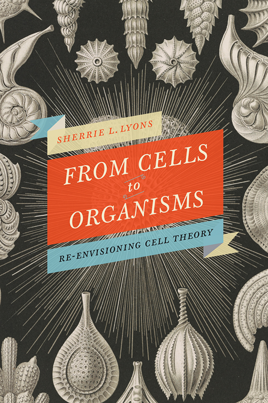 From Cells to Organisms Re-envisioning Cell Theory 1st Edition