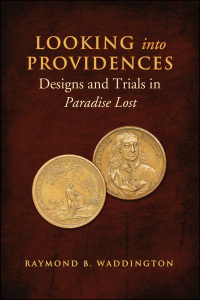 Cover image: Looking Into Providences 1st edition 9781442643420