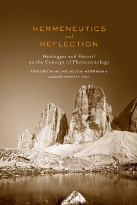 Cover image: Hermeneutics and Reflection 1st edition 9781442640092