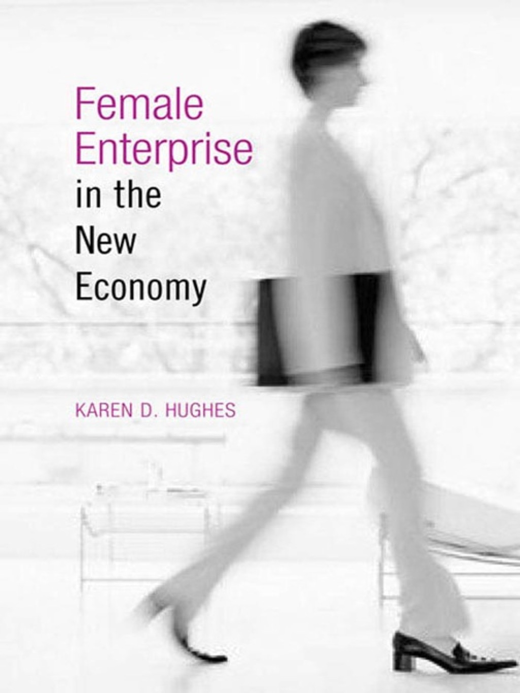 Female Enterprise in the New Economy 1st Edition