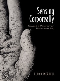 Cover image: Sensing Corporeally 1st edition 9780802037046