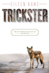 Cover image: Trickster 1st edition 9781442601789