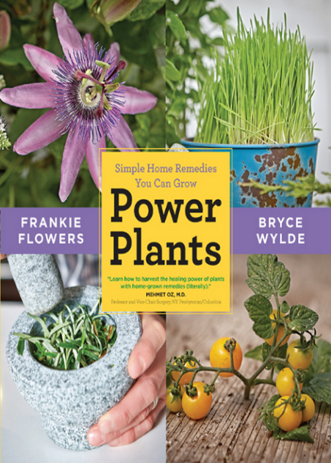 Power Plants: Simple Home Remedies You Can Grow - FULL INSTANT DOWNLOAD | PDF DOCX EPUB