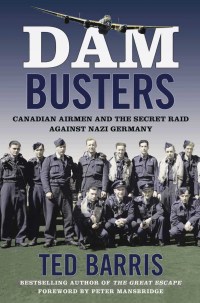 Cover image: Dam Busters 9781443455442