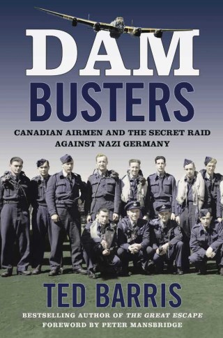 Cover image: Dam Busters 9781443455442