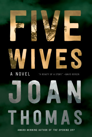 Cover image: Five Wives 9781443458542