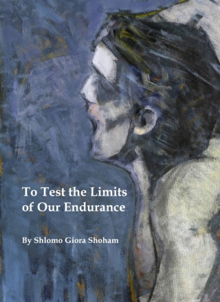 Titelbild: To Test the Limits of Our Endurance 1st edition 9781443820684