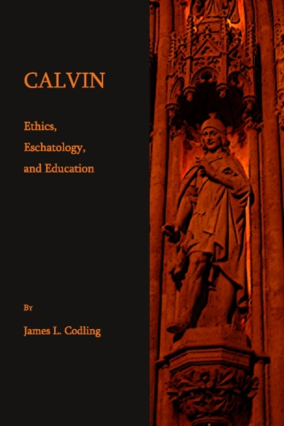 Imagen de portada: Calvin 1st edition 9781443822626