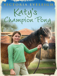 Cover image: Katy's Champion Pony 9781444005424
