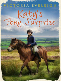 Cover image: Katy's Pony Surprise 9781444005530
