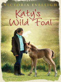 Cover image: Katy's Wild Foal 9781444005417