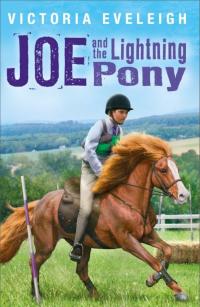 Cover image: Joe and the Lightning Pony 9781444010008