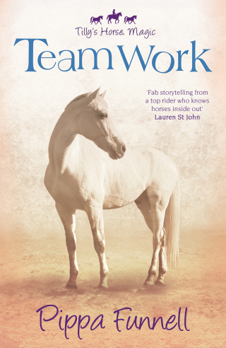 Cover image: Team Work 9781444012033