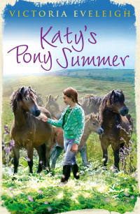 Cover image: Katy's Pony Summer 9781444014549