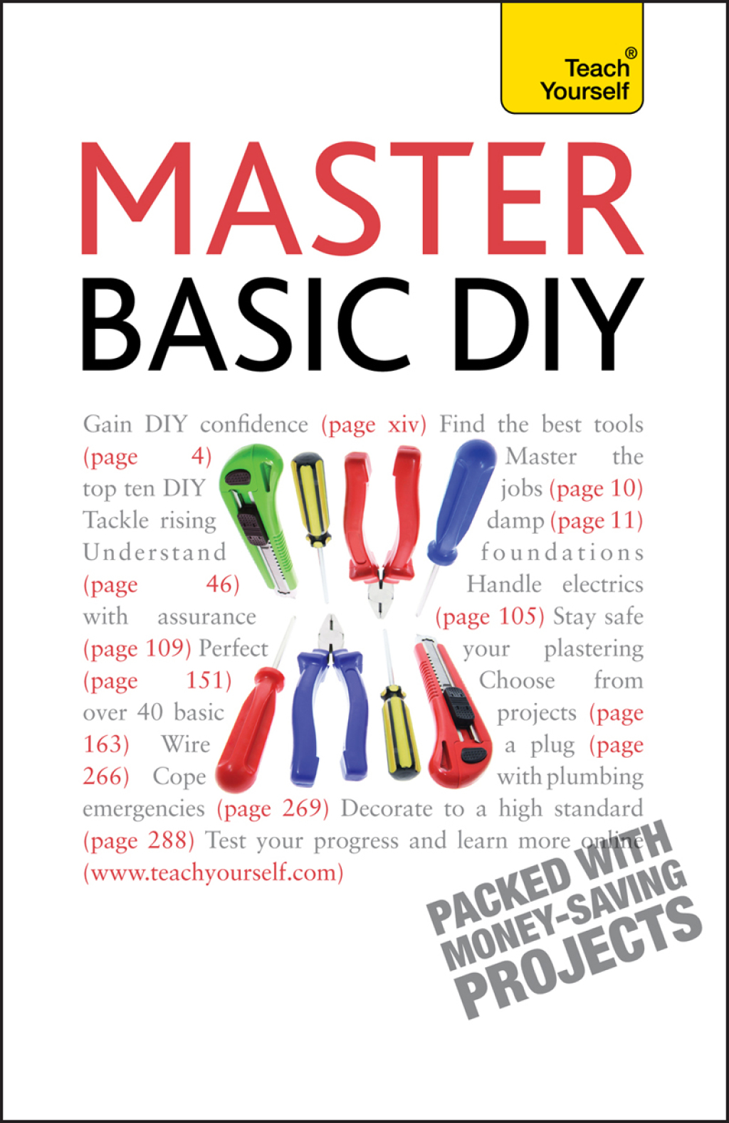 Master Basic DIY: Teach Yourself (eBook)