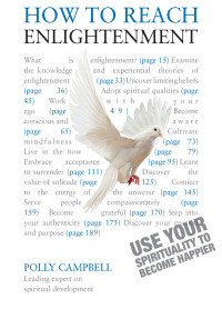 Cover image: How to Reach Enlightenment 9781444168792