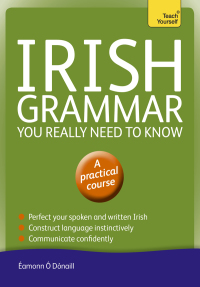 Cover image: Irish Grammar You Really Need to Know: Teach Yourself 9781444189599