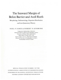 Imagen de portada: The Seaward Margin of the Belize Barrier and Atoll Reefs 1st edition 9780632005239