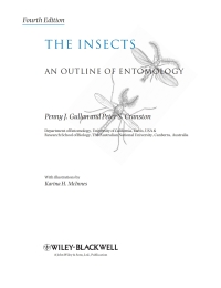 صورة الغلاف: The Insects: An Outline of Entomology 4th edition 9781444330366