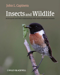 Cover image: Insects and Wildlife 1st edition 9781444332995