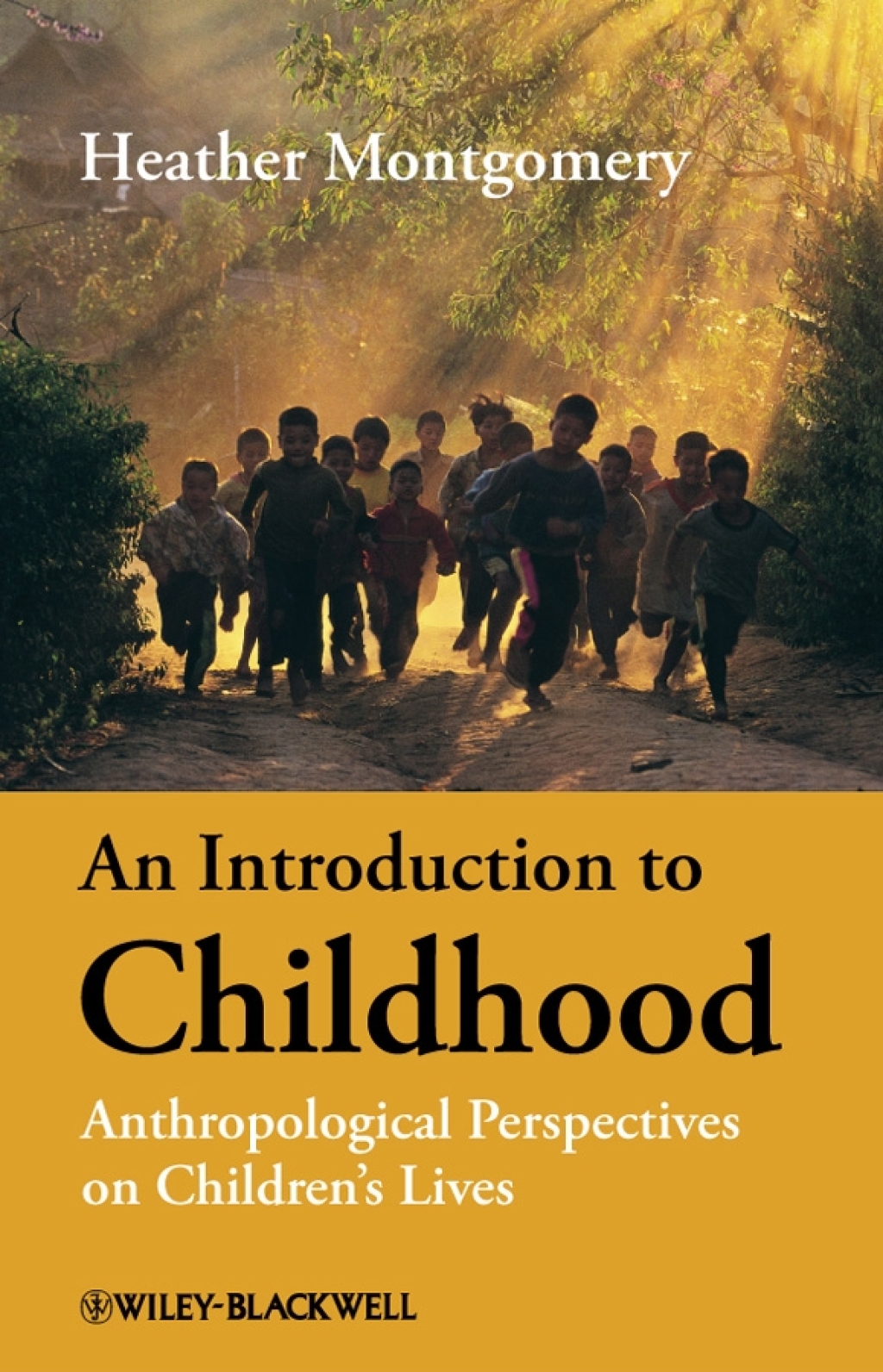 An Introduction to Childhood Anthropological Perspectives on Children’s Lives 1st Edition