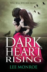 Cover image: Dark Heart Rising 9781444904901