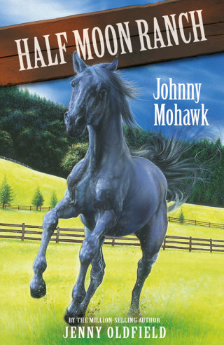 Cover image: Johnny Mohawk 9780340910689